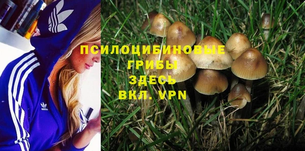 индика Покровск