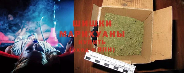 индика Покровск