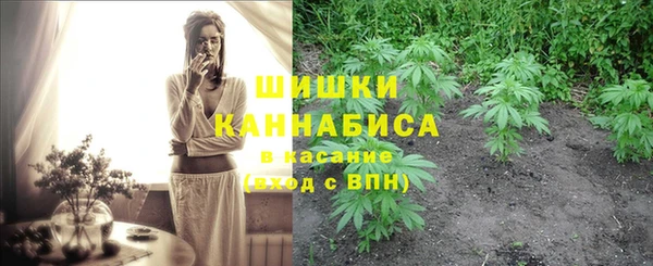 ECSTASY Покачи