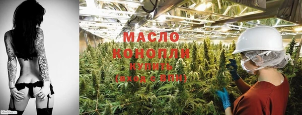 индика Покровск