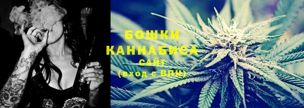 индика Покровск