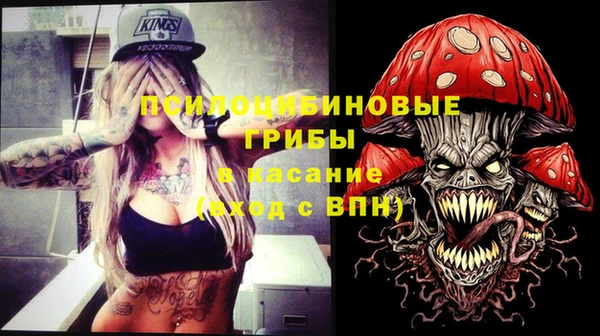 ПСИЛОЦИБИНОВЫЕ ГРИБЫ Грязовец