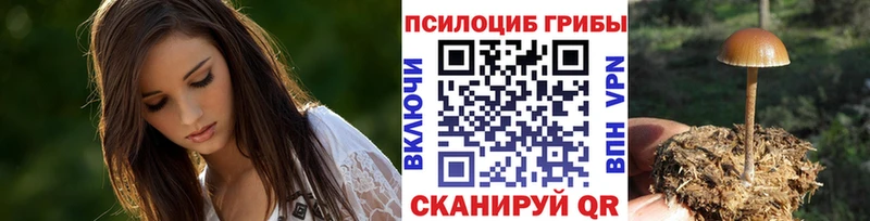 цены   Богданович  Псилоцибиновые грибы MAGIC MUSHROOMS 