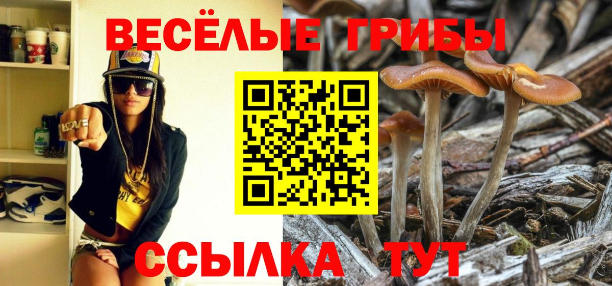Галлюциногенные грибы GOLDEN TEACHER  Вход с VPN  Богданович 